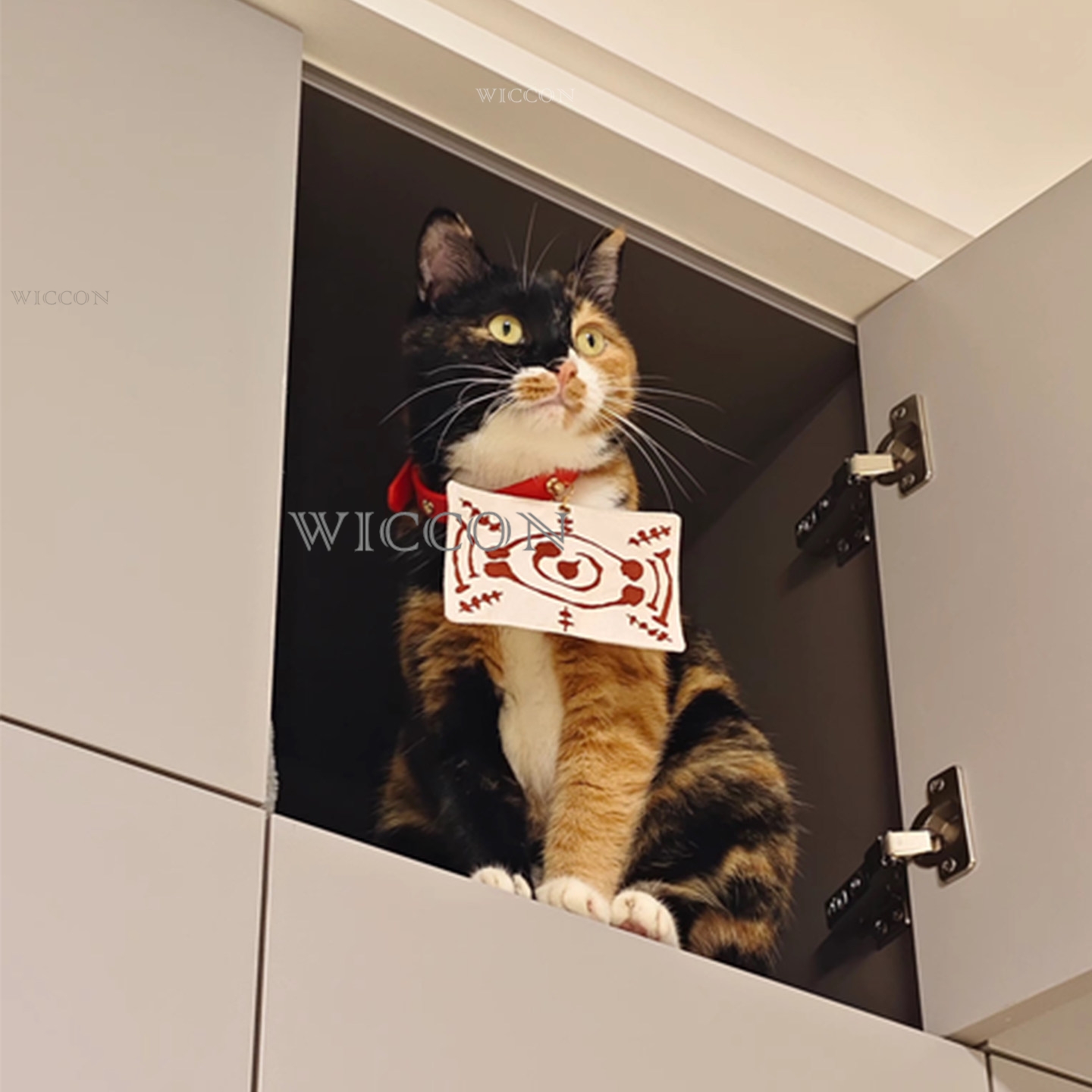 Coleira e Lenço Decorativo par - Cosplay Anime Jjk avaliação e preço